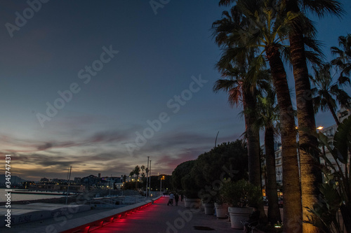Dark palm alley at twilight © Anastasija