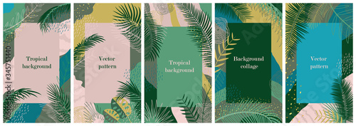 Set of templates for social network stories. Vertical background with space for text. Wallpaper with tropical leaves, palm branches and abstract elements. Summer landscape, greeting card, cover design