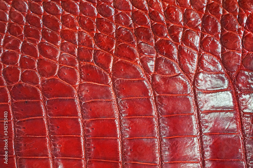 Wallpaper Mural Background texture red crocodile skin Torontodigital.ca