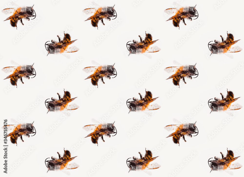 bees pattern macro bees pattern macro