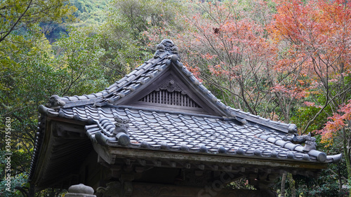 traditional Japanese garden during fall season, stone house amid bright deciduous trees in Sengan-en Park, residence of Shimazu family. historical architecture, stone lamps, pagoda Kagoshima Japan photo