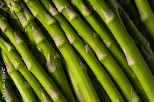 Fototapeta Naklejka Na Ścianę i Meble -  Raw Organic Green Asparagus