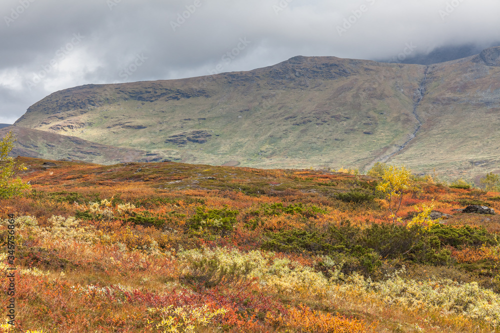 Sarek National Park in Lapland view from the mountain, autumn, Sweden, selective focus