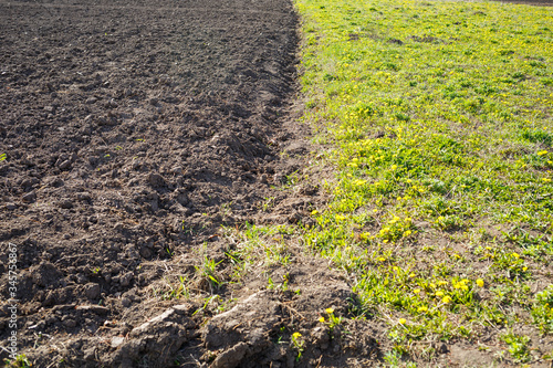 loose soil before planting vegetables on a spring day, agriculture