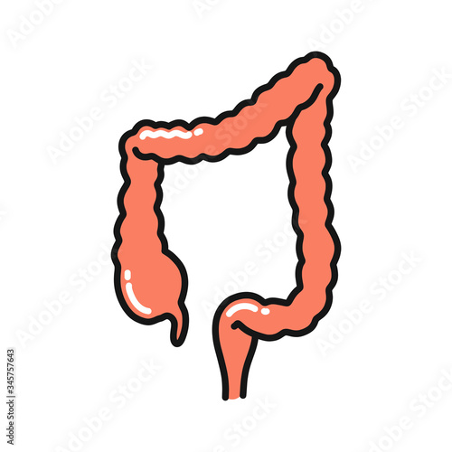 human colon doodle icon, vector illustration