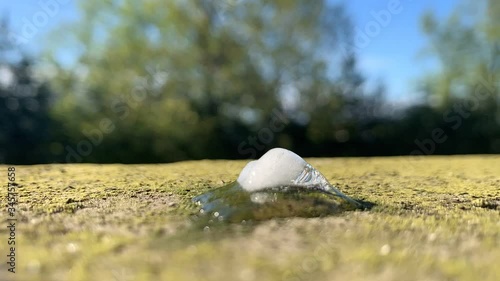 cold ice melting in the sun