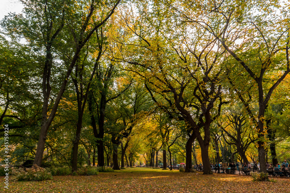 central park autumn