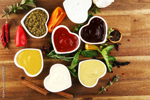 Sauces Assortment. Set of various sauces in bowls with ketchup  mayonnaise  pesto and mustard. Variety of induvidual marinades.