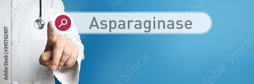 Asparaginase. Doctor in smock points with his finger to a search box. The term Asparaginase is in focus. Symbol for illness, health, medicine photo