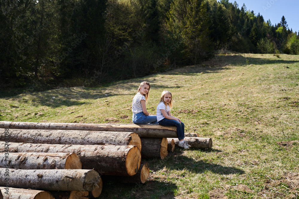 Fototapeta premium vacation in the mountains on the felling trees in the spring