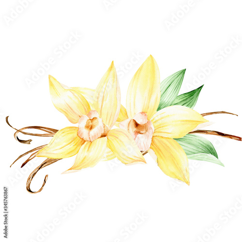 Vanilla clipart for tropical wedding. Vanilla yellow flowers watercolor clipart. Vanilla Orchid flowers illustration 