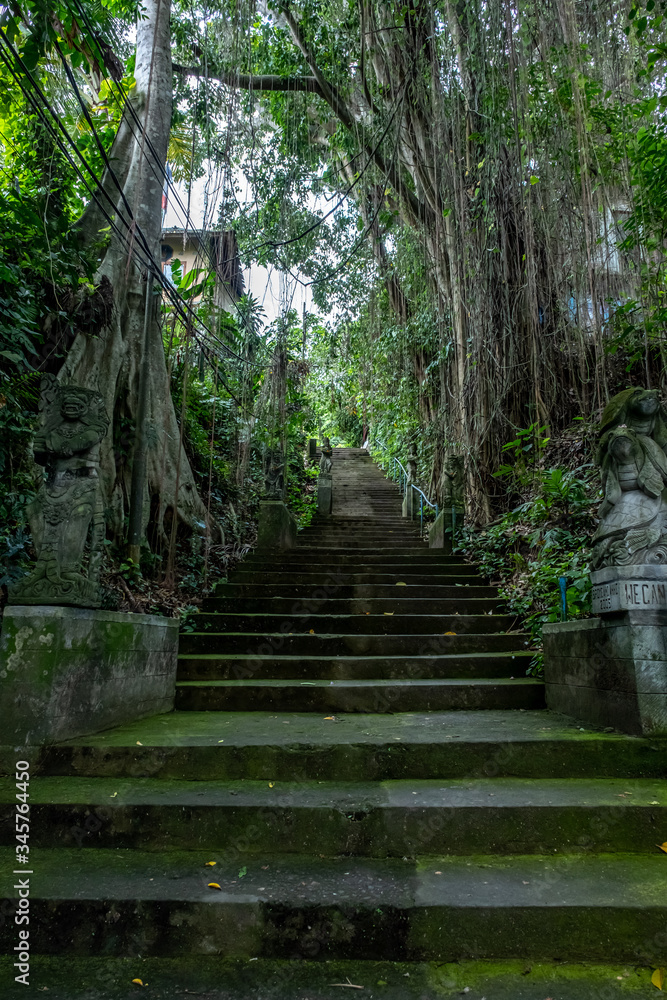 Exotic stairs in banyan trees, this stairs in Ubud, Bali Island, Indonesia Exotic stairs in banyan trees, this stairs in Ubud, Bali Island, Indonesia