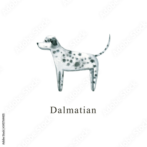 Watercolor dog. Hand drawn illustration is isolated on white. Painted Dalmatian is perfect for animal design  pet shop  veterinary clinic  fabric textile  baby cloth print  interior poster  wallpaper