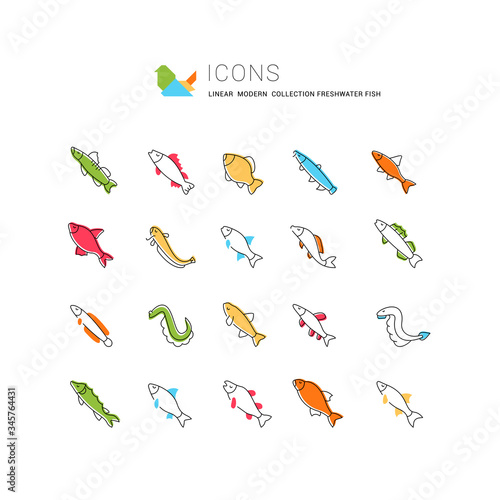 Set Vector Line Icons of Freshwater Fish