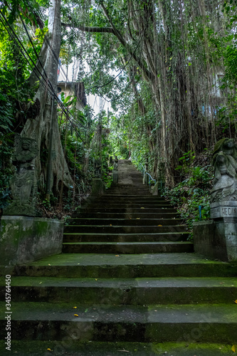 Exotic stairs in banyan trees  this stairs in Ubud  Bali Island  Indonesia