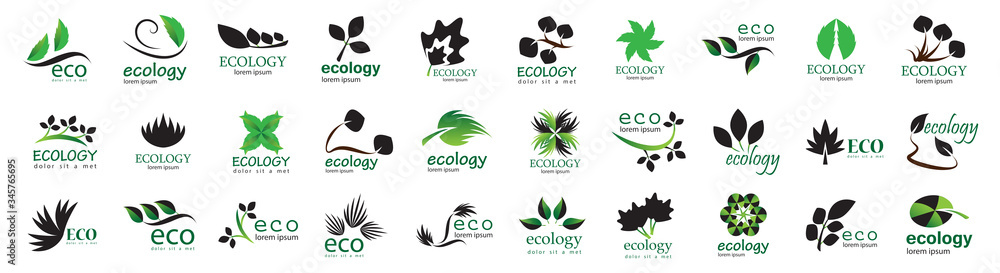 Fototapeta premium Collection Of Eco And Organic Logo Set - Isolated On White Background - Vector. Eco And Organic Logo Useful For Leaf Icon, Ecology Logo, Eco Symbol And Template Design. Ecology Tree Icons