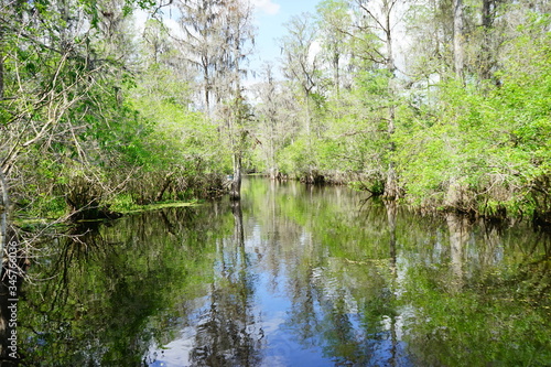 Hillsborough river at Tampa, Florida	