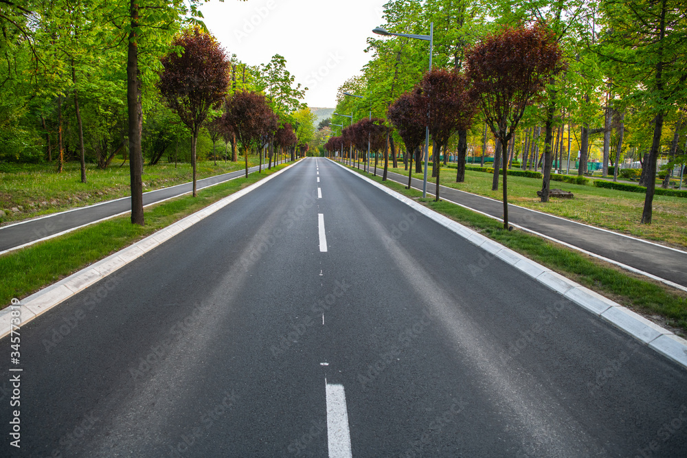 Black asphalt road and white dividing lines Black asphalt road and white dividing lines