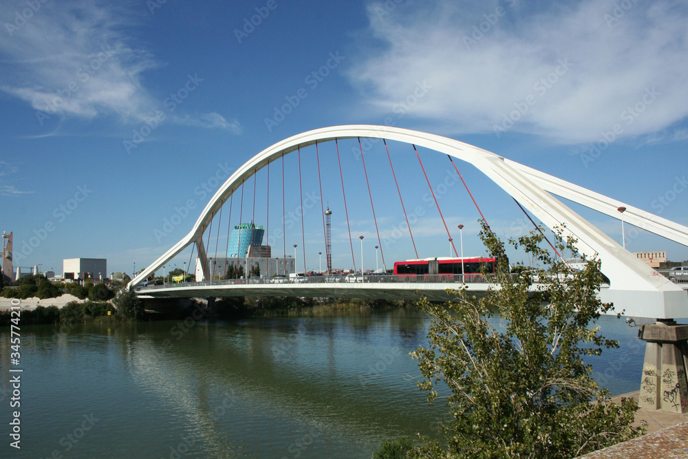 modern bridge over the lake