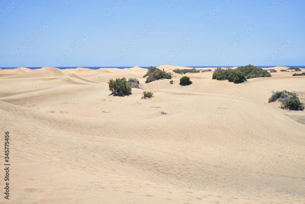 Beautiful shore landscape of white sand dunes at maspalomas beach, charming and calm seascape with blue sky