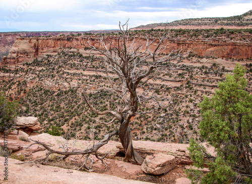 Colorado National Monument