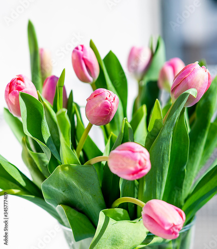 Large beautiful bunch of pink tulips