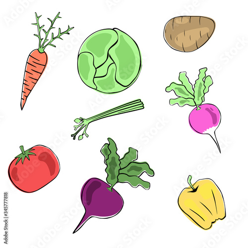 Set of vegetables in the style of hand drawn black stroke and negligence