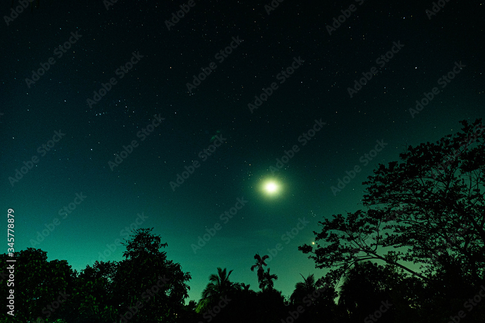 night landscape with stars, moon, trees