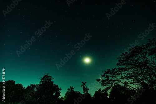 night landscape with stars, moon, trees