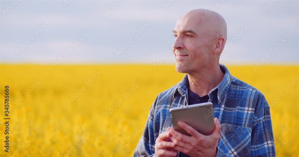 Agriulture - Farmer Using Digital Tablet Computer Against Yellow Rapeseed Field at Farm. Agriulture - Farmer Using Digital Tablet Computer Against Yellow Rapeseed Field at Farm.