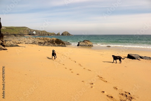 mother ivy's bay cornwall england united kingdom covid19 lockdown may 4th 2020