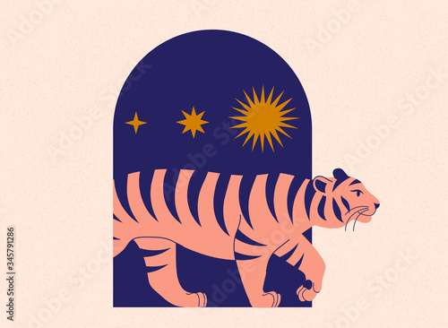 Cute tiger come out of arch. Sun and stars. Modern abstract art. Boho style. Mid Century print. Cosmic minimalistic scene. Protect wild animals poster. Magic concept. Vintage inspired art  photo