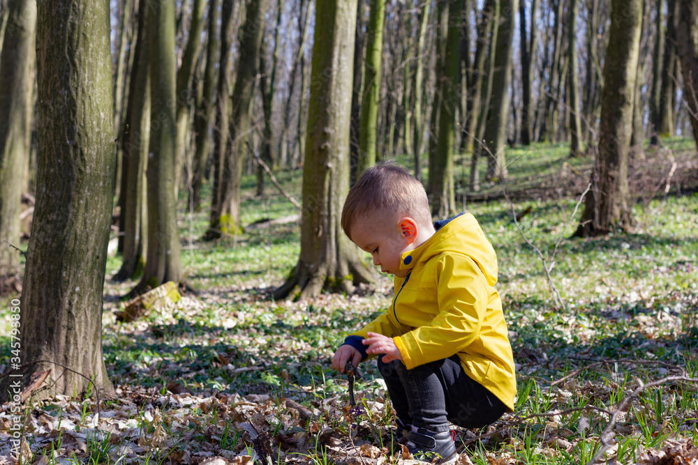little boy in a yellow jacket stands in the woods near a tree little boy in a yellow jacket stands in the woods near a tree