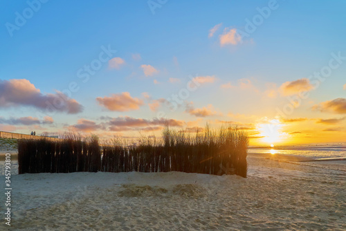 scenic colorful sunset behind a row of brushwood used as windbreak on the beach in Cuxhaven-Döse (Germany)