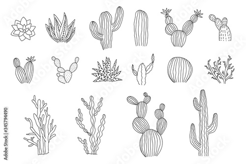 Collection of isolated outline black vector cactus and succulents elements. Cute hand drawn textured doodle cacti illustrations for pattern design, logo, coloring book, decor
