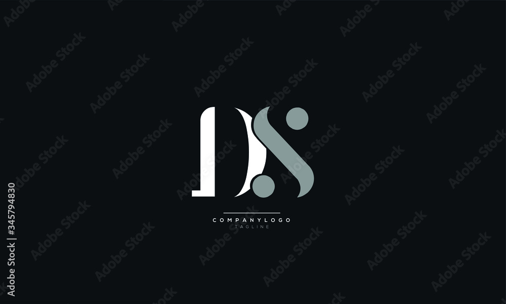 DS Letter Logo Design Icon Vector Symbol DS Letter Logo Design Icon Vector Symbol