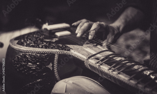 Sitar Maestro