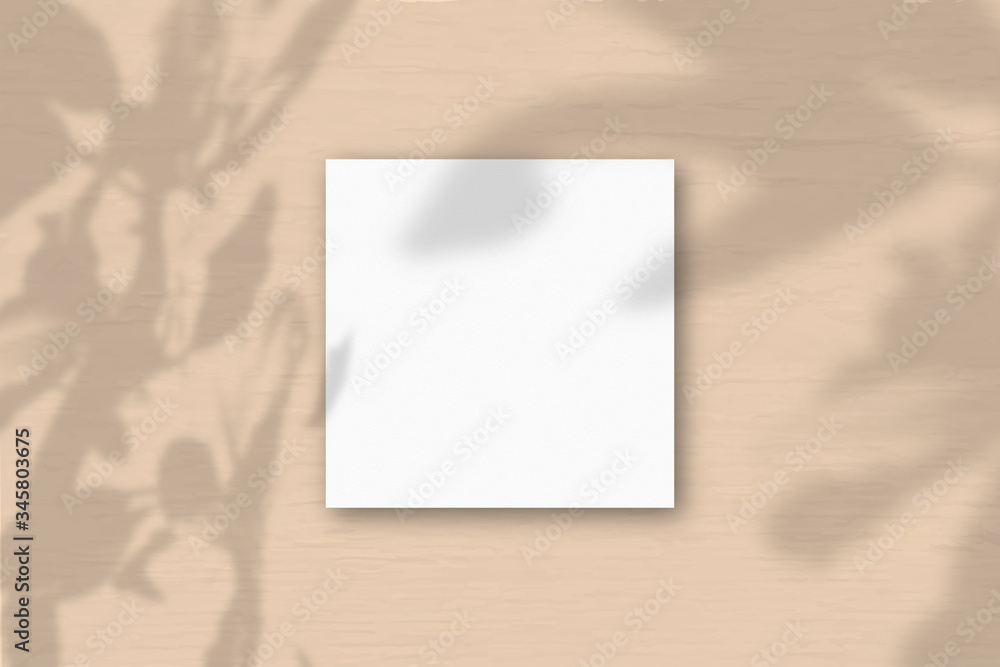 A square sheet of white textured paper on a orange wall background. Mockup overlay with the plant shadows. Natural light casts shadows from an exotic plant. Flat lay, top view. Horizontal orientation A square sheet of white textured paper on a orange wall background. Mockup overlay with the plant shadows. Natural light casts shadows from an exotic plant. Flat lay, top view. Horizontal orientation