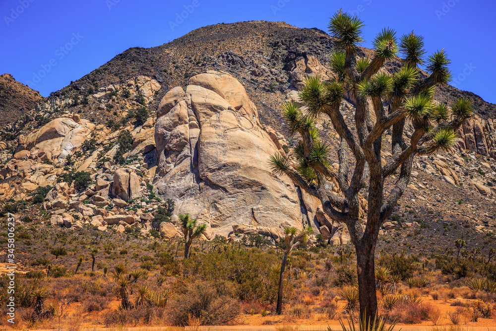 Rocks and Landscapes of Joshua Tree, Joshua Tree National Park, California