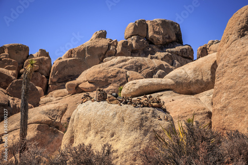 Rocks and Landscapes of Joshua Tree, Joshua Tree National Park, California