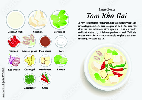Ingredients of Tom Kha Gai vector design. One of The Most Popular Food in Thailand.