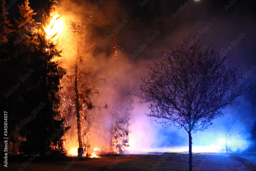 Firefighters arrive at a tree fire