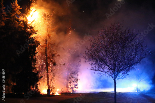 Firefighters arrive at a tree fire