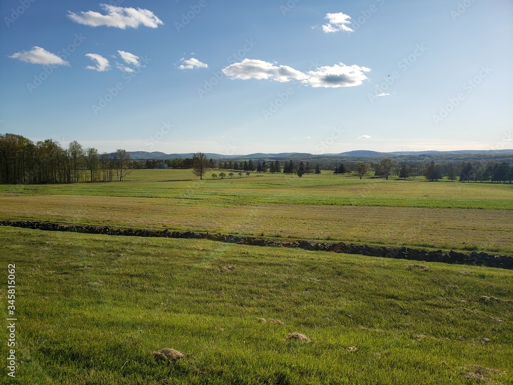 Fototapeta premium summer landscape with green field and blue sky