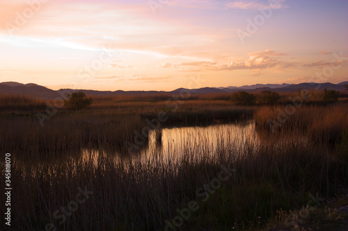 "Marjal dels Moros" at sunset, bird protection area, located in the province of Valencia, Spain