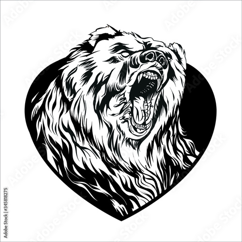Angry Bear Vector Drawing