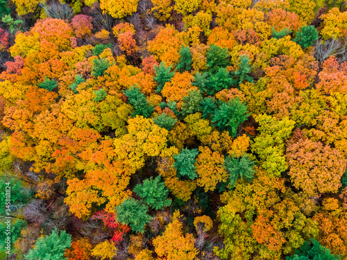 Areal view of fall colors