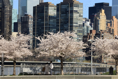 Wiosna w New York, widok z LIC na Manhattan