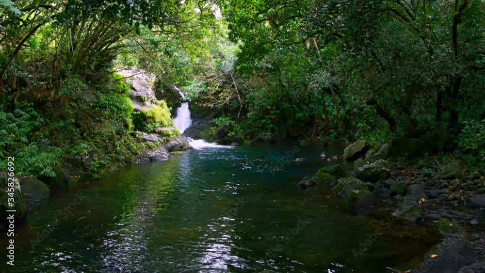 Natural Waterfall in Mauritius Forest Wilderness, with Sound Natural Waterfall in Mauritius Forest Wilderness, with Sound