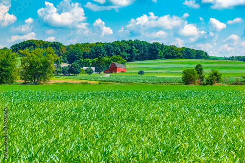 Red barn is surrounded by green corn fields in Ohio countryside.